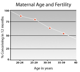 Men Fertility Age Chart